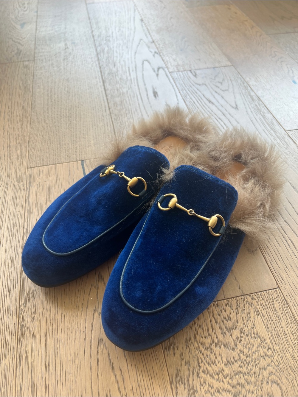 Blue Velvet Gucci fur Princetown